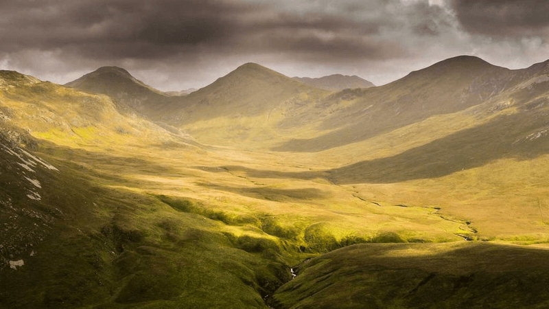 Hammer - professional stock photography