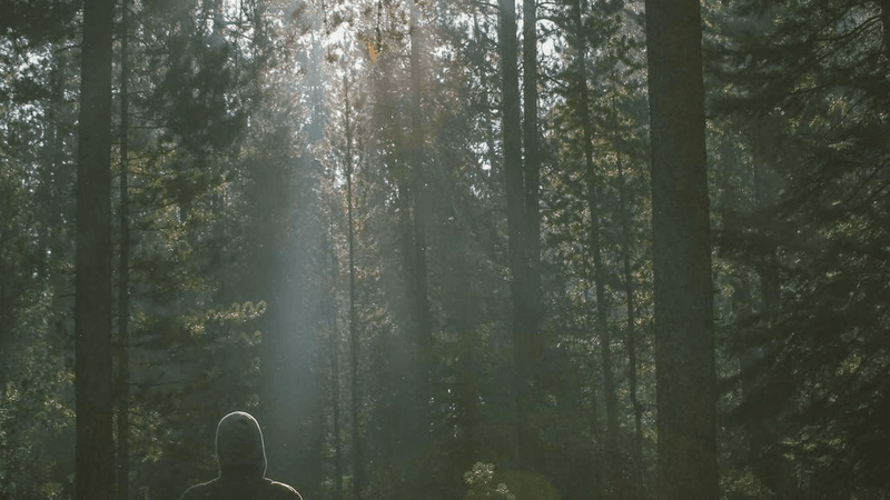 Hammer - professional stock photography